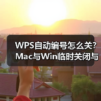 WPS自动编号怎么关？Mac与Win临时关闭与永久禁用方法（图3）