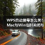 WPS自动编号怎么关？Mac与Win临时关闭与永久禁用方法（图4）