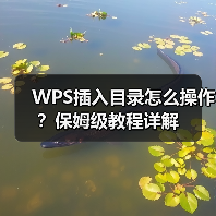 WPS插入目录怎么操作?保姆级教程详解(图1) WPS插入目录怎么操作?保姆级教程详解(图1)