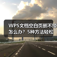 WPS文档空白页删不掉怎么办？5种方法轻松搞定（图3）