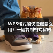 WPS格式刷快捷键怎么用?一键复制格式省时省力(图2) WPS格式刷快捷键怎么用?一键复制格式省时省力(图2)