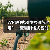 WPS格式刷快捷键怎么用?一键复制格式省时省力(图3) WPS格式刷快捷键怎么用?一键复制格式省时省力(图3)
