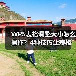 WPS表格调整大小怎么操作?4种技巧让表格更规范(图3) WPS表格调整大小怎么操作?4种技巧让表格更规范(图3)