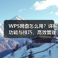 WPS网盘怎么用？详解功能与技巧，高效管理云端文件（图3）