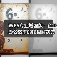 WPS专业增强版:企业办公效率的终极解决方案?(图3) WPS专业增强版:企业办公效率的终极解决方案?(图3)
