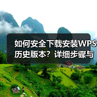 如何安全下载安装WPS历史版本?详细步骤与注意事项(图4) 如何安全下载安装WPS历史版本?详细步骤与注意事项(图4)