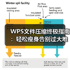 WPS文件压缩终极指南：轻松瘦身告别过大难题（图3）