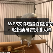 WPS文件压缩终极指南：轻松瘦身告别过大难题（图2）