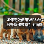 如何高效使用WPS会议提升协作效率？全面指南（图2）