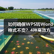 如何确保WPS转Word格式不变？4种高效方法详解（图1）