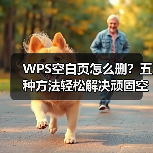 WPS空白页怎么删?五种方法轻松解决顽固空白问题(图3) WPS空白页怎么删?五种方法轻松解决顽固空白问题(图3)