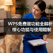 WPS免费版功能全解析：核心功能与使用限制（图4）