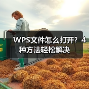 WPS文件怎么打开?4种方法轻松解决(图2) WPS文件怎么打开?4种方法轻松解决(图2)