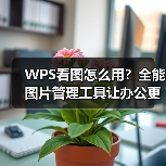 WPS看图怎么用?全能图片管理工具让办公更高效(图4) WPS看图怎么用?全能图片管理工具让办公更高效(图4)