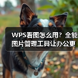 WPS看图怎么用?全能图片管理工具让办公更高效(图3) WPS看图怎么用?全能图片管理工具让办公更高效(图3)