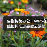 告别传统办公！WPS在线如何实现高效云端协作？（图4）