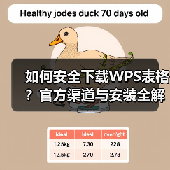 如何安全下载WPS表格?官方渠道与安装全解析(图1) 如何安全下载WPS表格?官方渠道与安装全解析(图1)