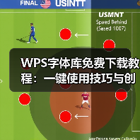 WPS字体库免费下载教程：一键使用技巧与创意设计（图2）