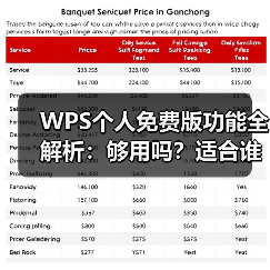 WPS个人免费版功能全解析:够用吗?适合谁?(图3) WPS个人免费版功能全解析:够用吗?适合谁?(图3)