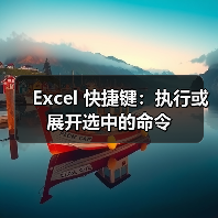 Excel 快捷键：执行或展开选中的命令（图3）