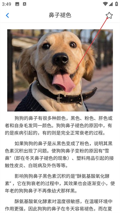 犬卫士app安卓版下载