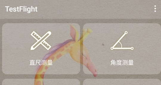 TestFlight官方版 TestFlight官方版