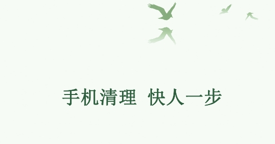 极速清理手机管家专业版