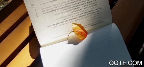 扎堆阅读器手机版